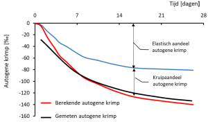 Invloed kruip op autogene krimp